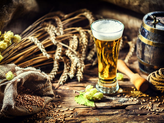 Pilsner Glass filled with beer amid other foods in a rustic setting