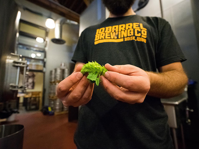 An employee of 10 Barrel Brewing Company working at the brewery