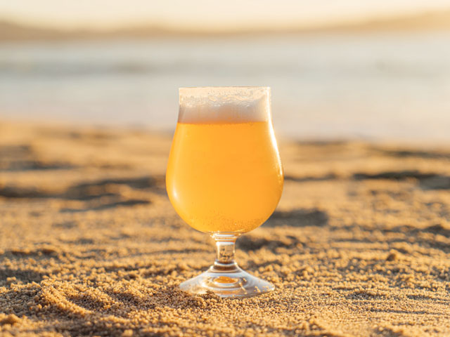 A tasty local craft beer on a Cape Cod Beach