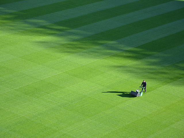 Mowing a large lawn with a beer